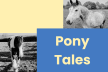 Pony Tales