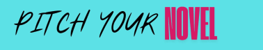 Pitch Your Novel