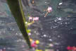 Sea-Water’s Substack