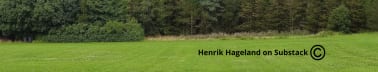 Henrik’s Substack