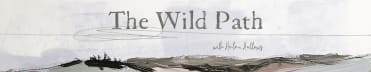 The Wild Path by Helen Hallows
