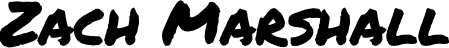 The Prof Z Project