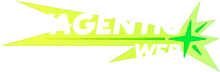 The Agentic Web