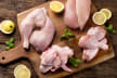 Halal frozen chicken wholesale