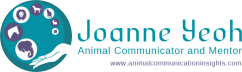 Joanne Yeoh Animal Communication Insights 