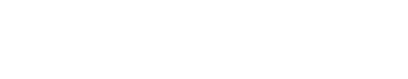 The Neural Network