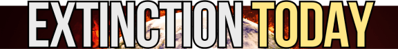 Extinction Today