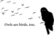 Owls Are Birds, Too