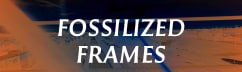 Fossilized Frames