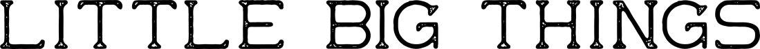Little Big Things