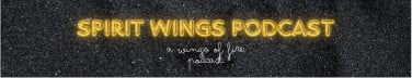 Spirit Wings Podcast (a wings of fire podcast)