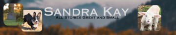 Sandra Kay's All Stories Great and Small 