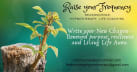 Raise Your Frequency-Optimal Brain & Spiritual Wellbeing