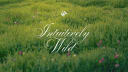 intuitively wild