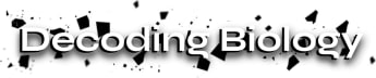 Decoding Biology by Evan Peikon