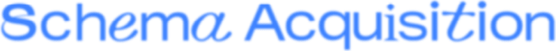 Schema Acquisition
