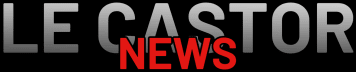 LE CASTOR - NEWS | Actualités cinéma TV et VOD