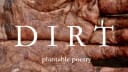 DIRT