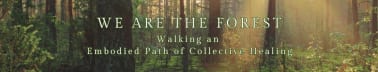 We Are The Forest