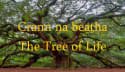 Crann na beatha-The Tree of Life
