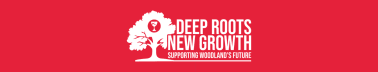 Deep Roots, New Growth: Supporting Woodland's Future
