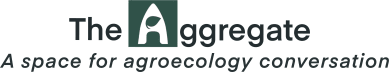 The Aggregate