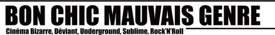 BON CHIC MAUVAIS GENRE - La Newsletter -