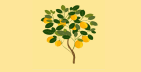The Lemon Tree Mindset 🌳🍋