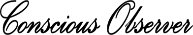 The Conscious Observer