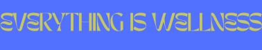 Everything is Wellness