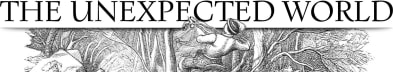 The Unexpected World