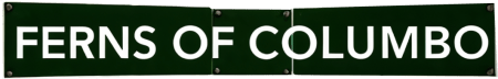 Ferns of Columbo
