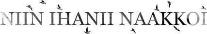 NIIN IHANII NAAKKOI