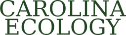 Carolina Ecology