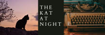 The Kat At Night
