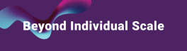 Beyond Individual Scale