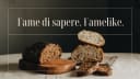 FAMELIKE