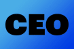 The Startup CEO