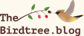 The Birdtree