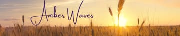 Amber Waves