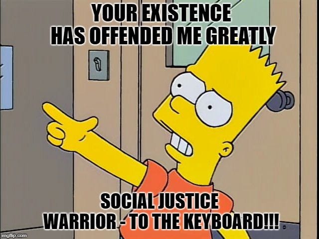 Social Justice Warrior Porn