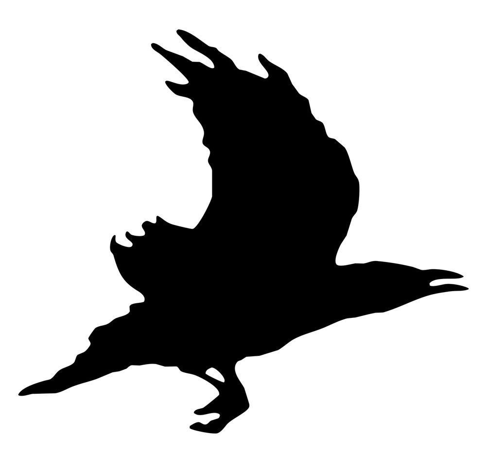 Sunsetriders7 Raven