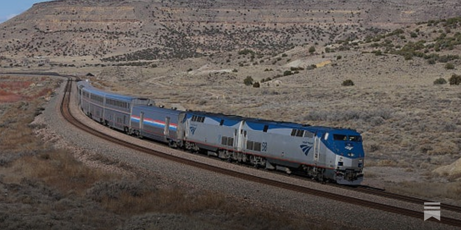 se permiten perros de terapia en los trenes de amtrak