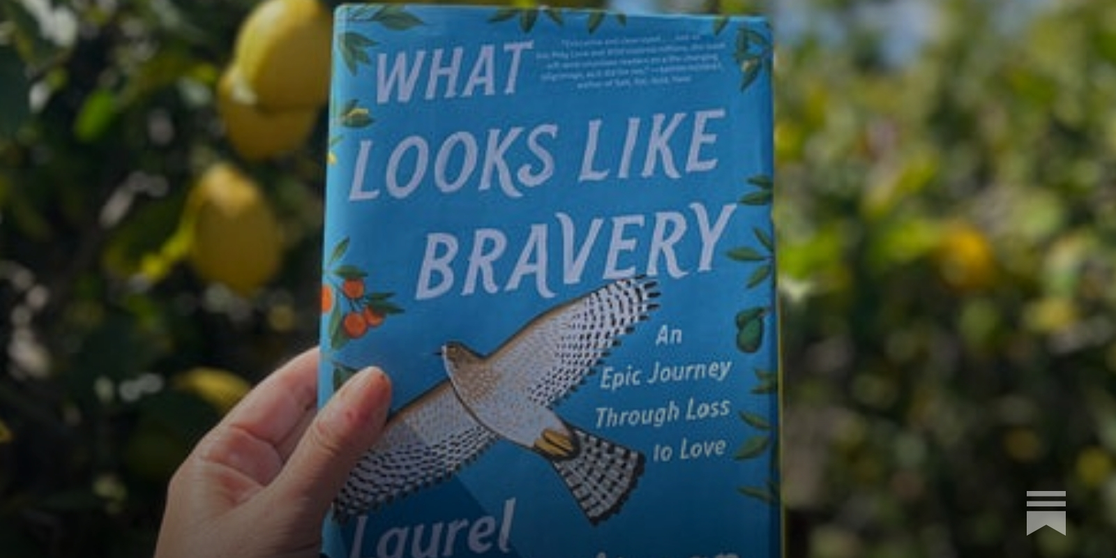 What Looks Like Bravery, Book by Laurel Braitman, Official Publisher Page