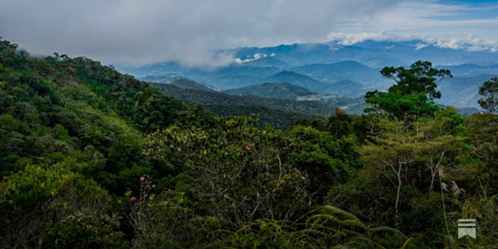 2024 on the Horizon: Little Good News - Vimarsana News