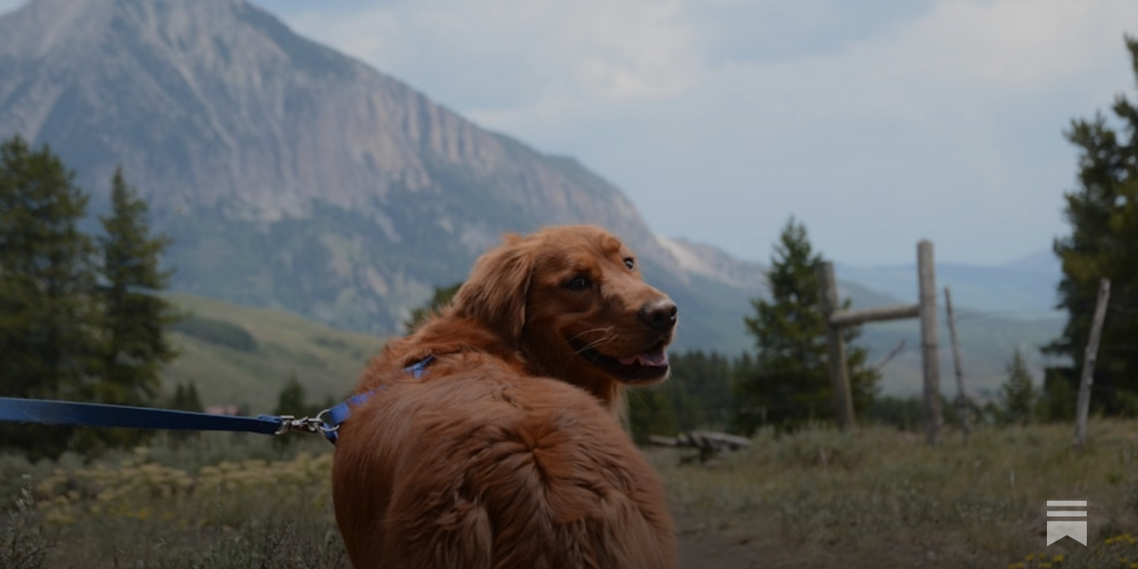 Davide Rufino - Zoologo - GESTIRE IL GATTO NEL RISPETTO DELLA NATURA  Nessuno potrà mai negarlo: la compagnia di un gatto è una gran bella cosa.  Ci piacciono, li amiamo, li desideriamo.