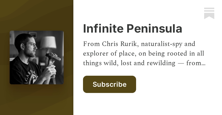 Table of Contents - by Chris Rurik - Infinite Peninsula