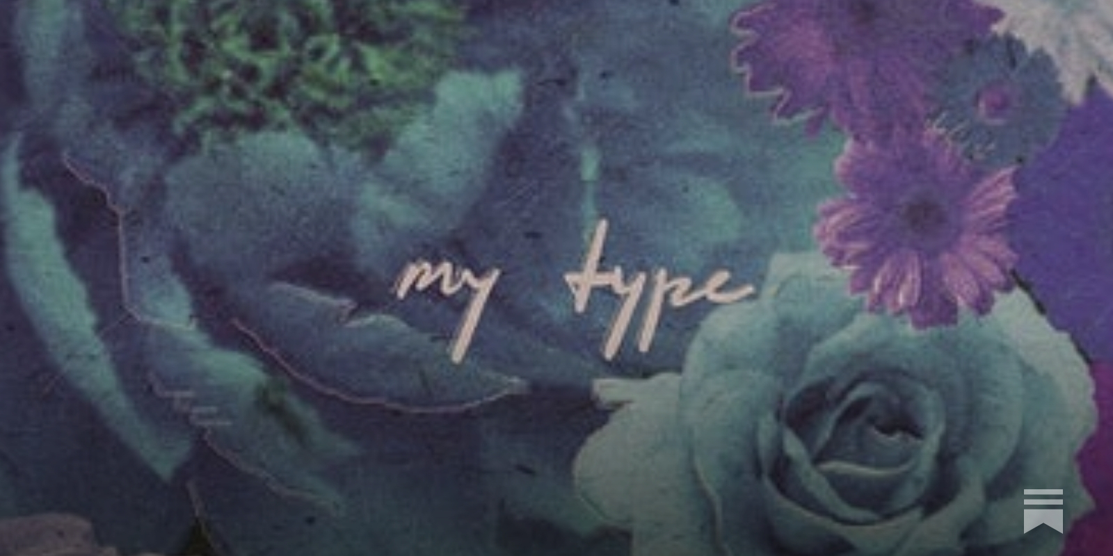 Meaning of ​my type by ​brb. (SGP)