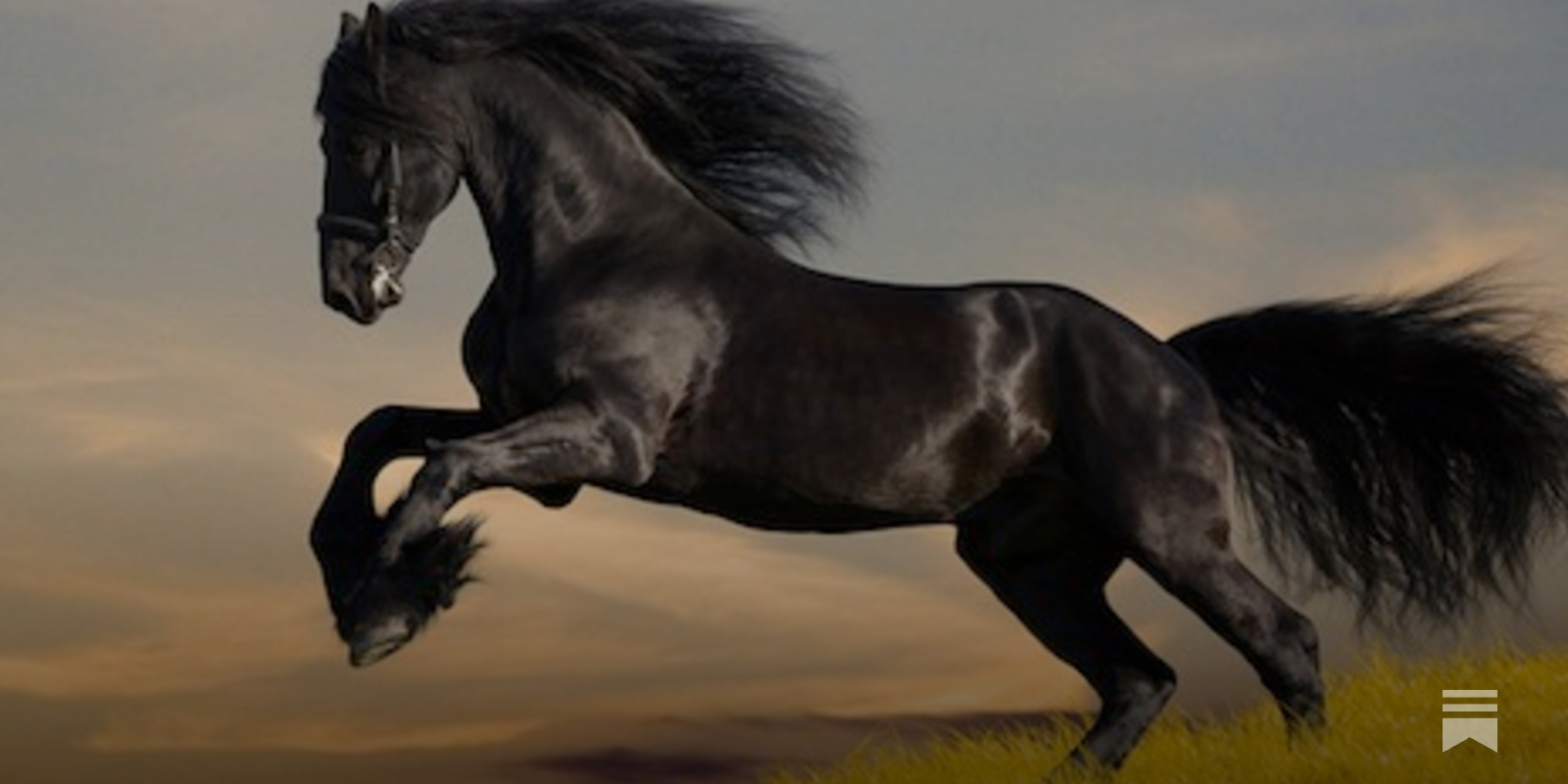 Further Evidence That Frasier Crane Is A Centaur