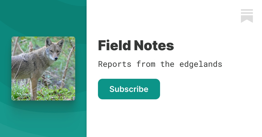 edgelands.substack.com